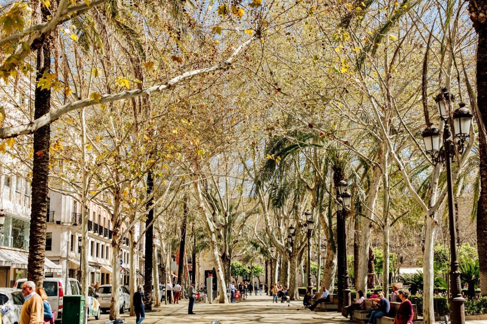 Plaza De La Magdalena I, Sevilla Centro Historico Exterior foto